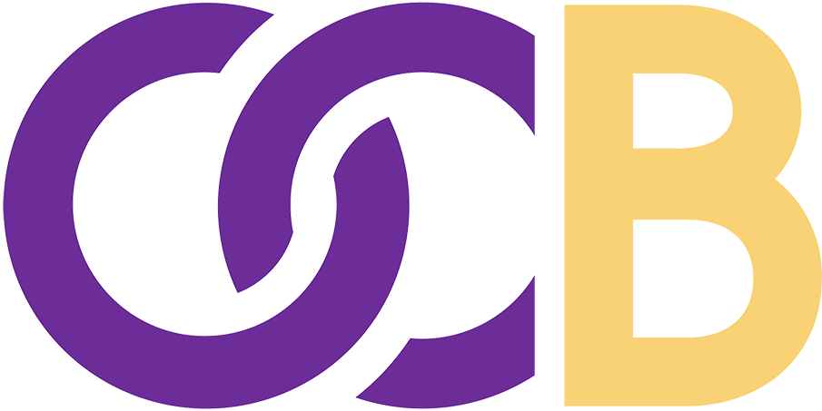 Orlando City B 2016-Pres Wordmark Logo DTF transfer for t shirt